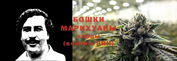 сатива Беломорск