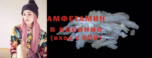 сатива Беломорск