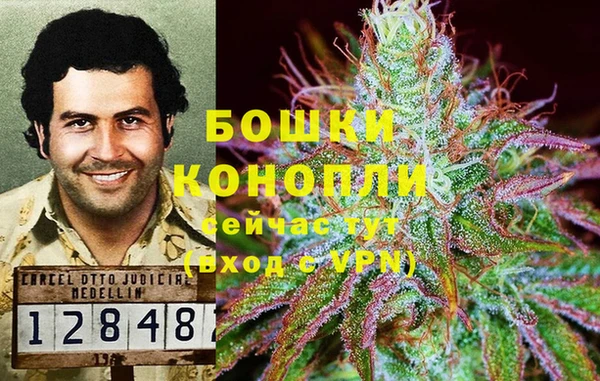 2c-b Балабаново