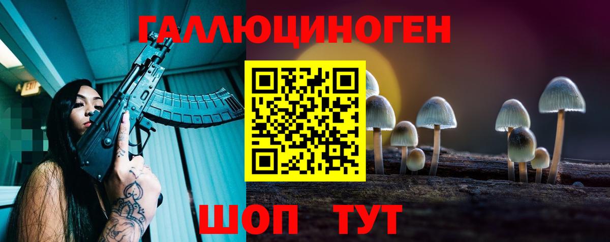 Псилоцибиновые грибы Вязьма