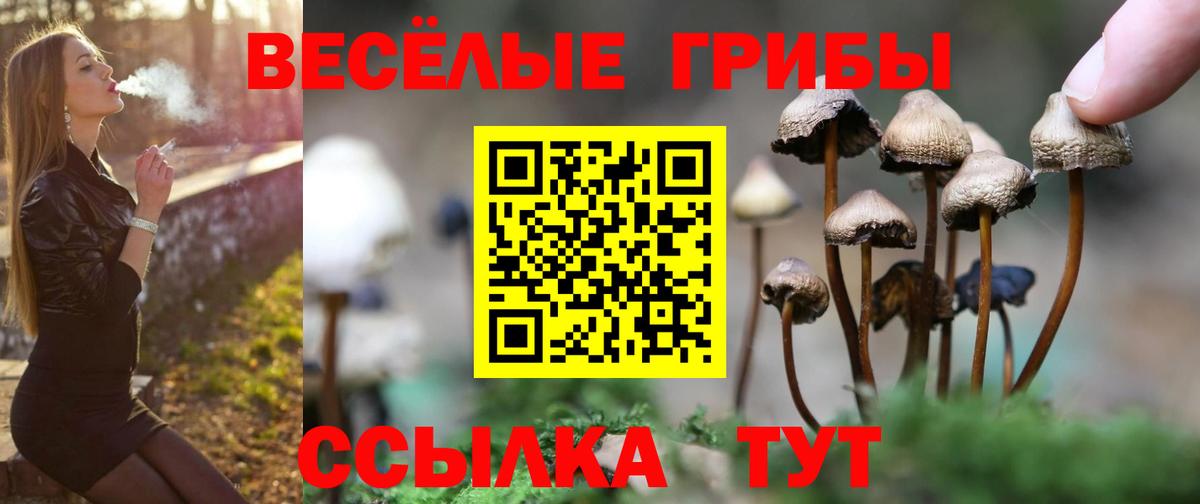 Вязьма  Галлюциногенные грибы MAGIC MUSHROOMS  Вход с VPN  Галлюциногенные грибы Psilocybe 